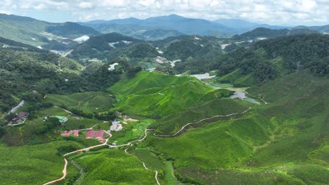 Panning-left,-tropical-farming-landscape,-serene-wallpaper-scene,-aerial