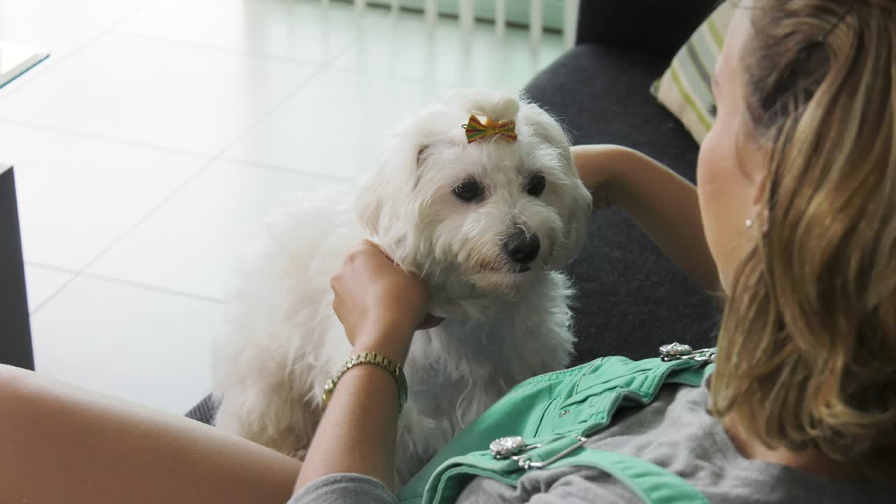 여자 개 소유자 가 애완 동물 에게 룩 목걸이 를 붙이고 있다