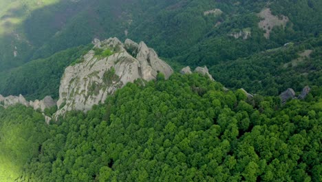 aerial top down shot of dense forest trees located on rocky mountain in bulgaria