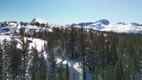 Aerial-view-of-pine-trees-in-Sierra-Necada-Mountain-landscape,-California