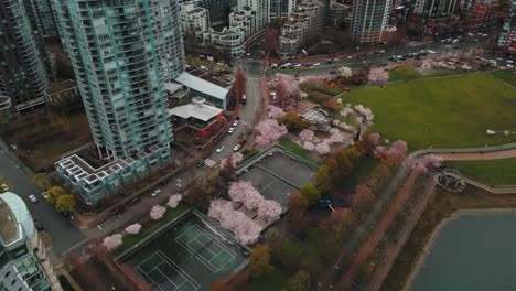 Toma-Aérea-Que-Revela-El-Horizonte-De-La-Ciudad-De-David-Vancouver-Y-El-Parque-David-Lam-Con-Flores-De-Cerezo-Durante-Un-Día-Nublado-En-Primavera,-Columbia-Británica,-Canadá