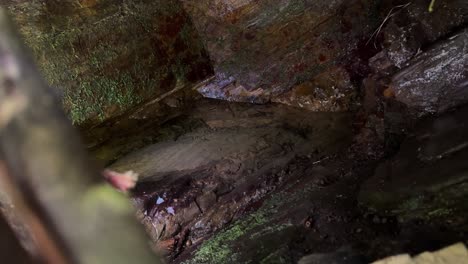 Holen-Sie-Sich-Trinkwasser-Aus-Dem-Quellbrunnen-In-Der-Felssteinhöhle,-Flussquelle-Im-Wald,-Tiefem-Wald-Im-Iran,-Auf-Dem-Land,-Im-Ländlichen-Dorfleben,-Die-Einheimischen-Füllen-Eine-Flasche-Mit-Gesunder-Ernährung-Gilan-Rasht