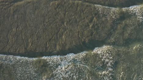 4k top view drone shot of small waves, foaming and splashing in the ocean sea water on a sunny day at byron bay, australia