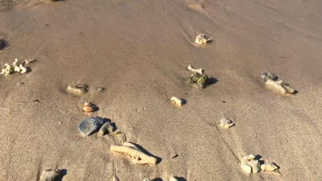 corals on sand at the beach with beautiful sea view in gili trawangan, bali, lomkok, indonesia