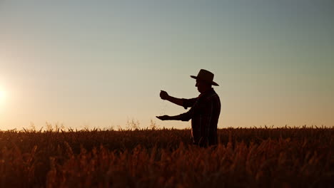 silhouette profile of a man standing in the farmland up to waist. farmer in hat pouring grain in hands. sunset at backdrop.