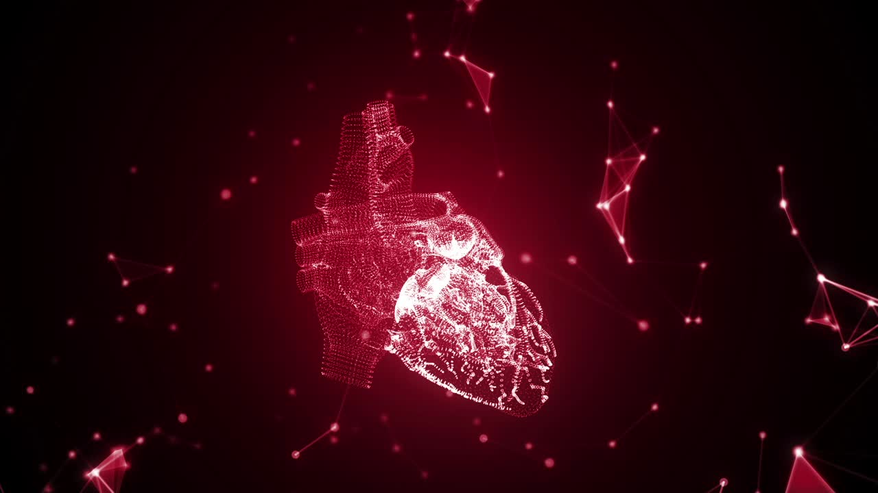 Digital Heart and Connections