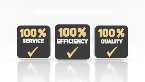 Service,-Effizienz-Und-Qualität