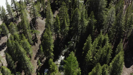 Lush-green-forest-surrounding-Deadman-Creek-in-California,-aerial-view