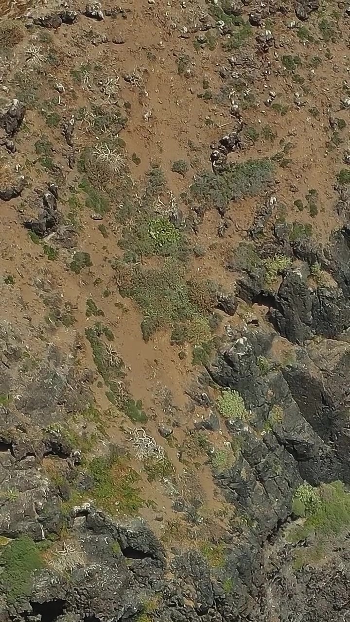 Alla scoperta dei paesaggi aspri sulla costa di Tenerife, in Spagna