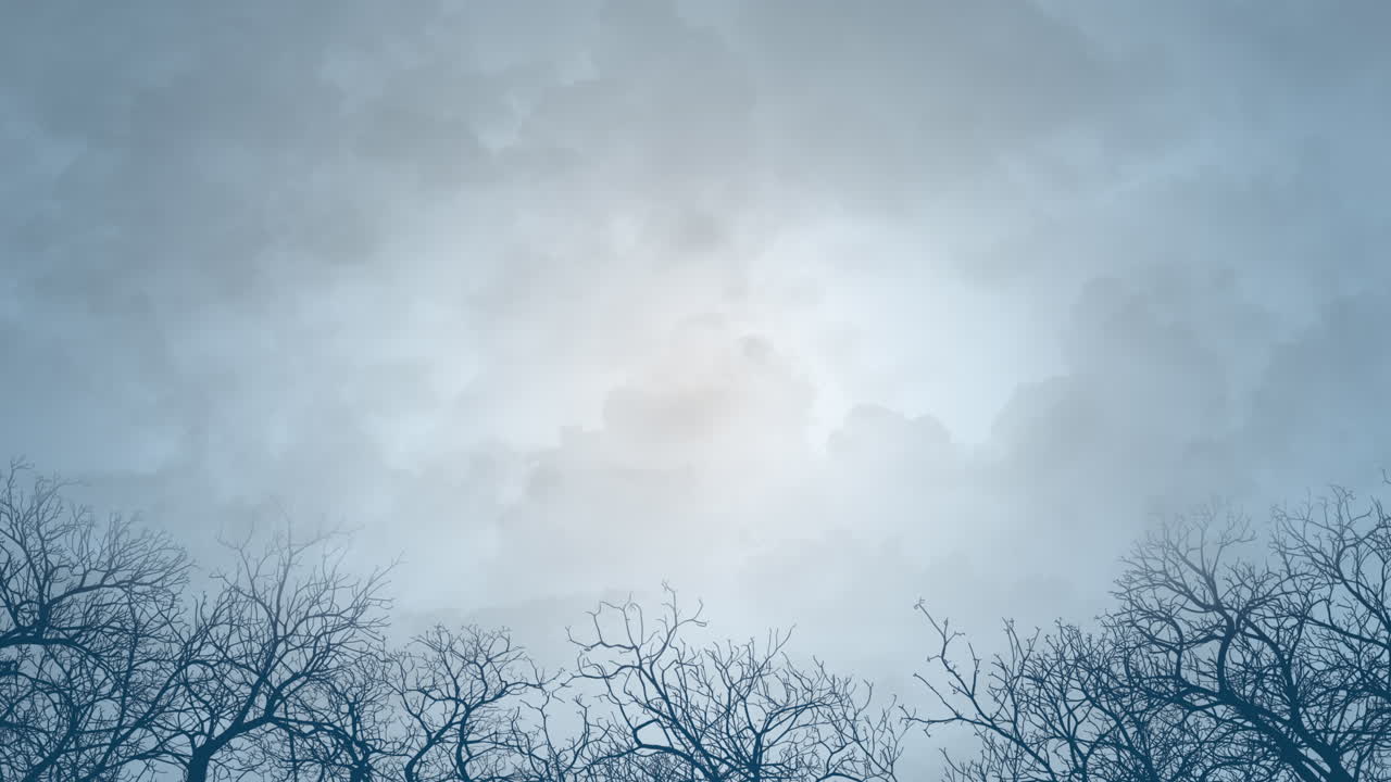 Alberi secolari della foresta e cielo drammatico di notte