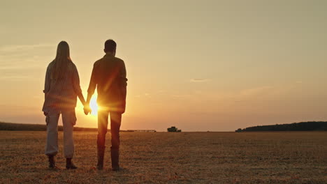 una pareja se sostiene de las manos al atardecer en un campo de trigo.