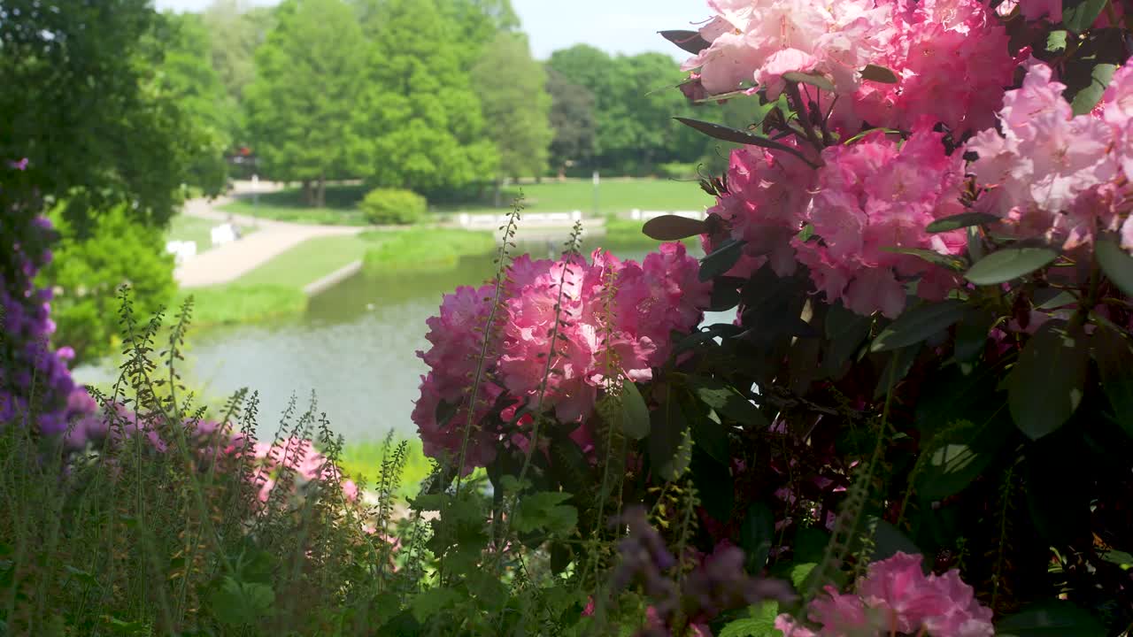 아름다운 꽃이 있는 일본 정원의 풍경