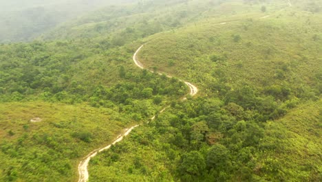 white gravel road among the green nature of ling wui shan hill in hong kong mountains in china on a foggy summer morning