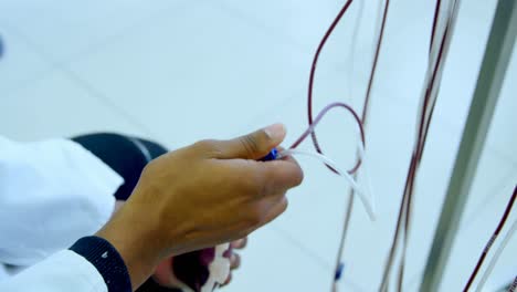 técnico de laboratorio analizando bolsas de sangre 4k