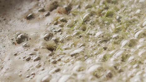 closeup of edible flowers cooking