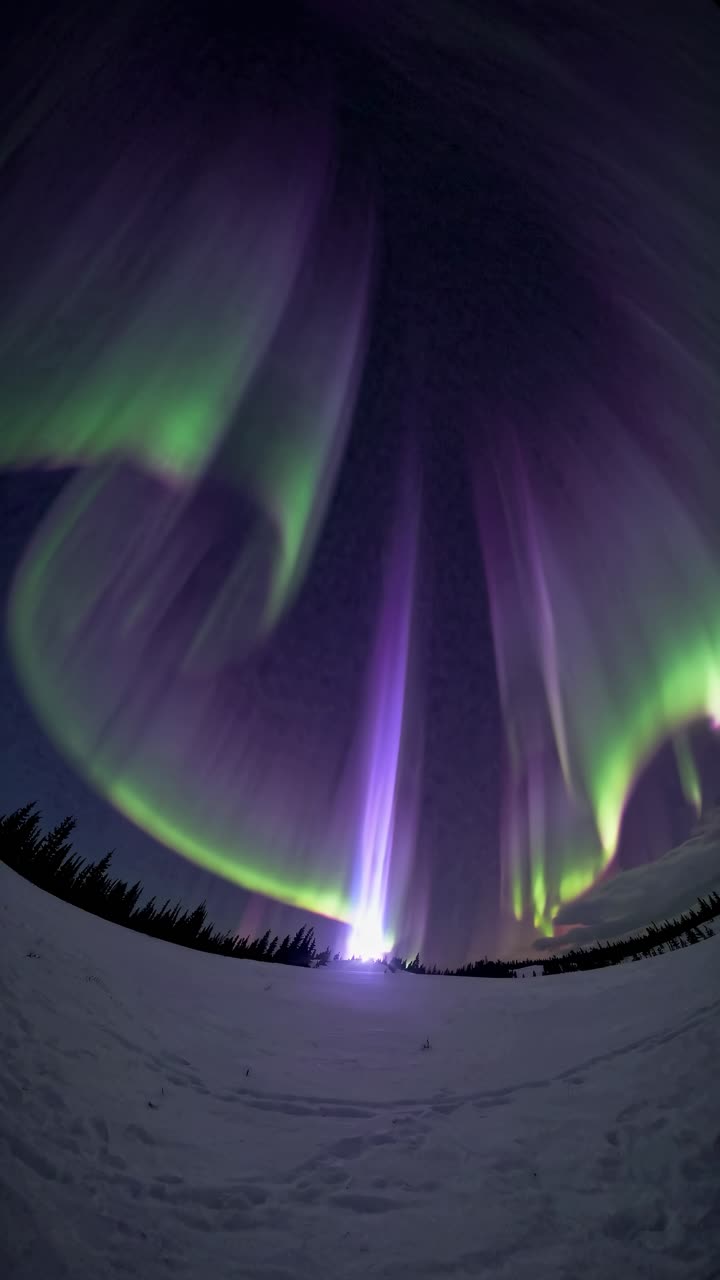 A mesmerizing fisheye lens captures the swirling green and purple aurora borealis in the night sky
