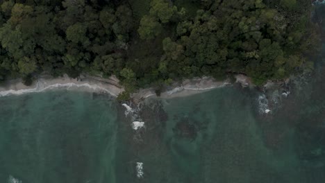 agua turquesa en la playa de punta mona en la costa caribeña de costa rica