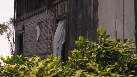 Wind-blowing-through-abandoned-house-sheet-curtains,-brush-shrub-foreground