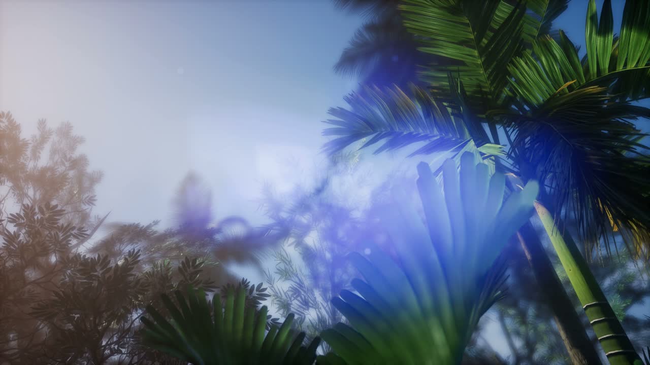 солнечные лучи через пальмы