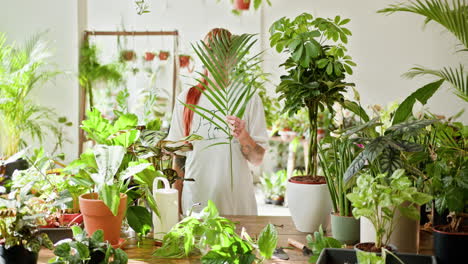 mujer rodeada de exuberantes plantas de interior en una tienda de plantas