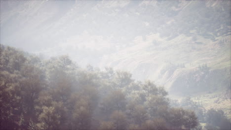 shot-of-a-creek-in-the-middle-of-green-woods-surrounded-by-hills