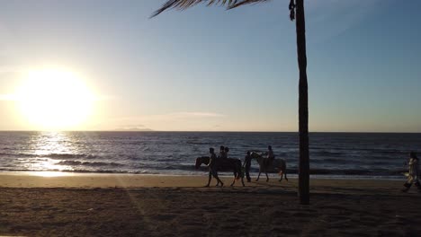 Cámara-Lenta-Con-Caballos-Montando-En-Una-Playa-De-Arena-Con-Puesta-De-Sol-Como-Fondo-En-Nadi,-Fiji