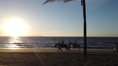 cámara lenta con caballos montando en una playa de arena con puesta de sol como fondo en nadi, fiji