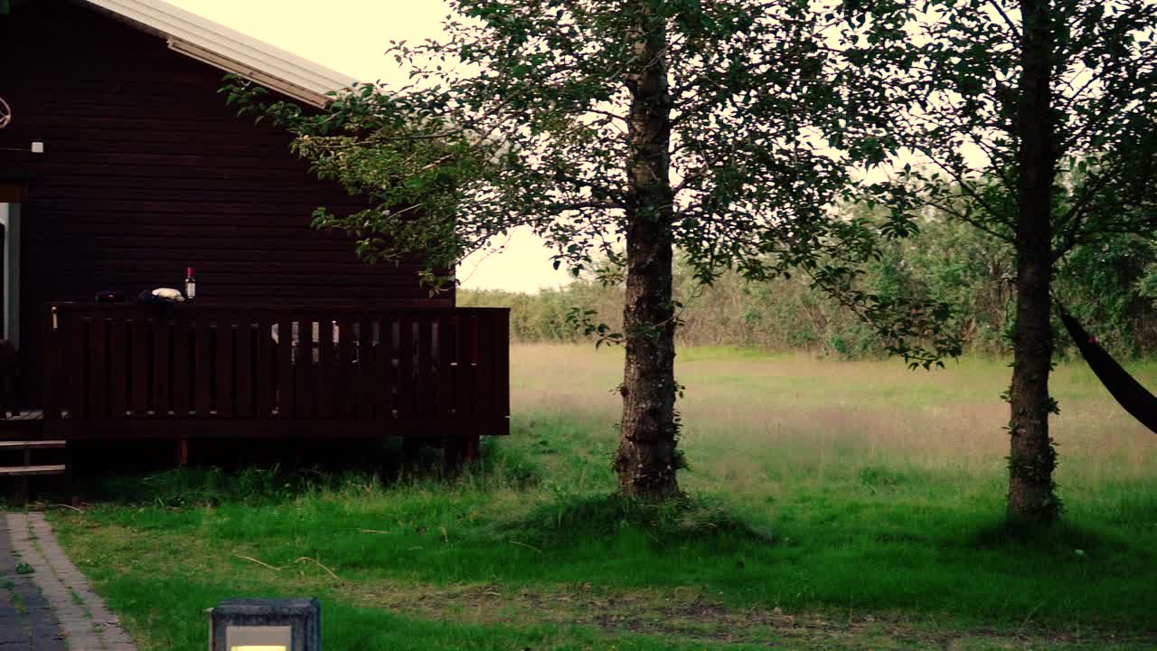 석양 빛에 아름다운 강아지의 놀라운 클로즈업