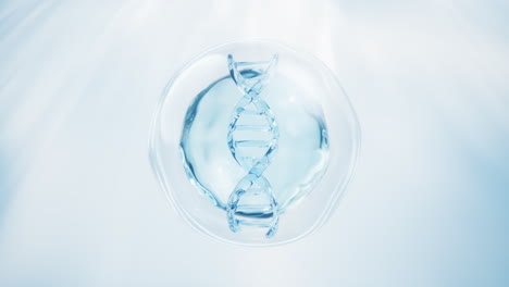 dna and water bubble, 3d rendering.