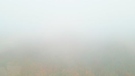 impresionante video aéreo 4k de un dron de la belleza de otoño de eslovenia