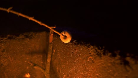 Donut-with-a-stick-over-a-fiery-bonfire