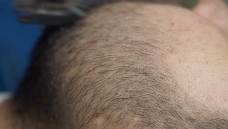 close-up of hair being cut