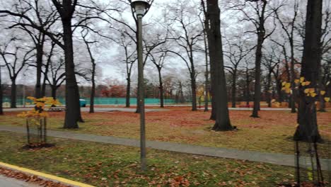 low pan of the area in late autumn, leaves covering the ground