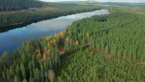 AERIAL-TILT-UP-REVEAL-Dalarna,-Sweden-in-the-autumn