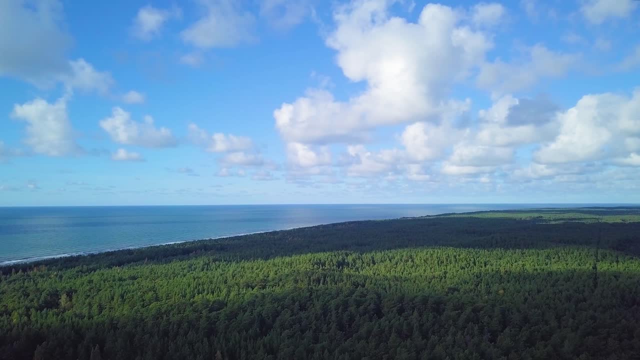 숲의 초가을, 공중 평면도, 혼합 숲, 녹색 침엽수, 노란 잎이 있는 낙엽수, 가을 색 시골 삼림 지대, 북유럽 숲 풍경, 광각 설정 샷