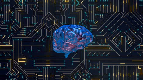 Brain and digital circuit