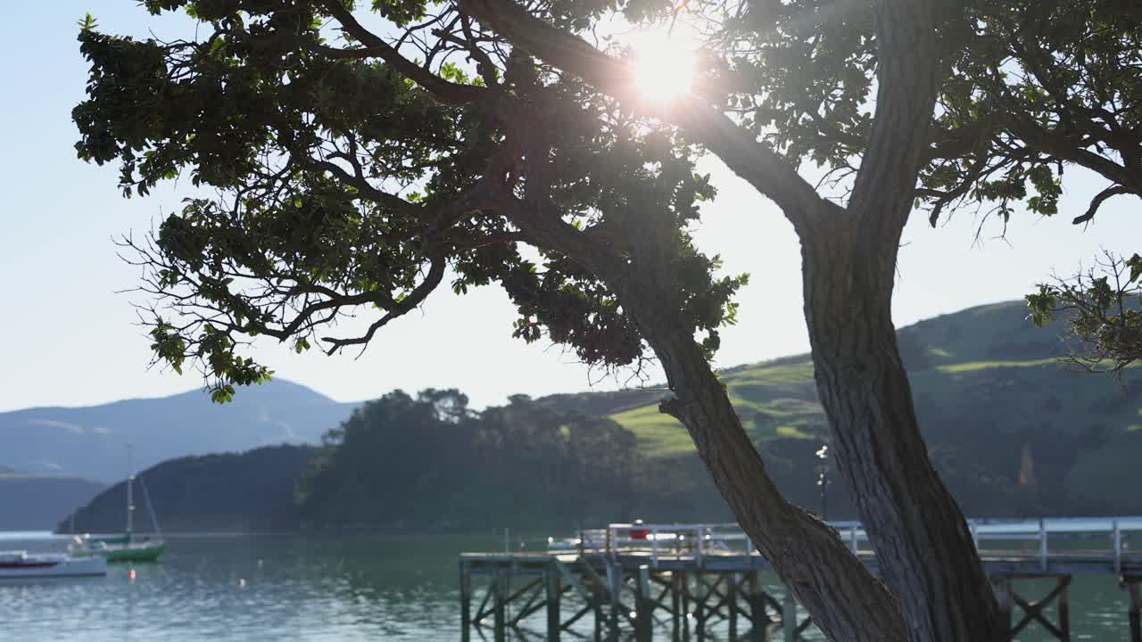 A serene view of sunlight filtering through a tree, overlooking Akaroa Harbor with boats and distant hills