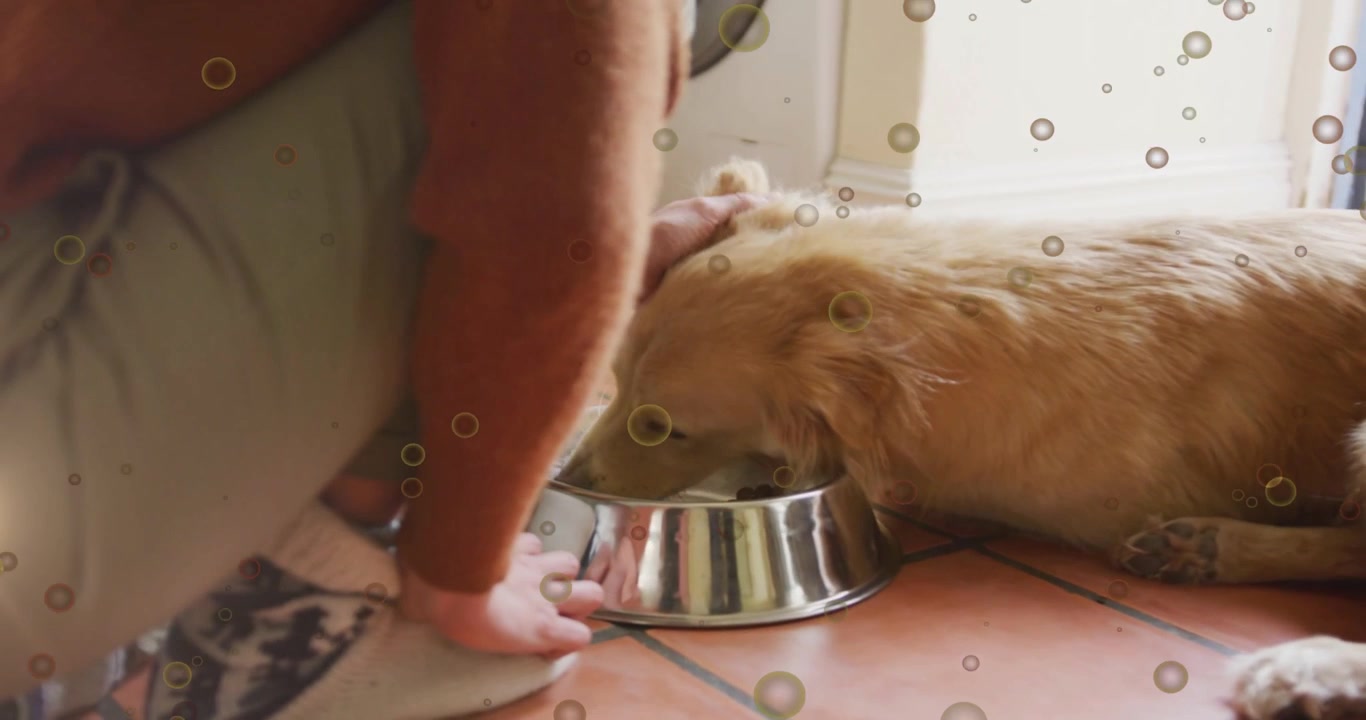 Eine Frau kniet und stellt eine Stahlschale hin, woraufhin der Hund den Kopf senkt und frisst, während sie ihn zur Tierpflege beruhigend streichelt.