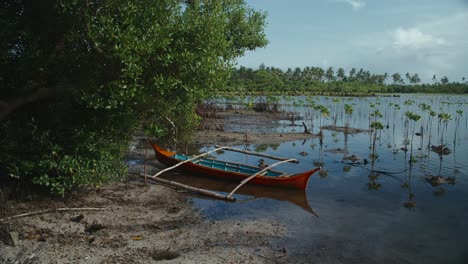 un kayak naranja varado en el borde de un pantano de manglares en las filipinas