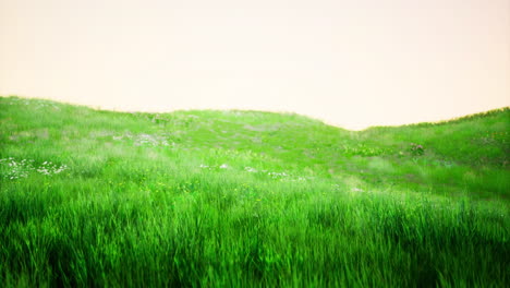 vibrant green hills under a soft pastel sky create a serene landscape
