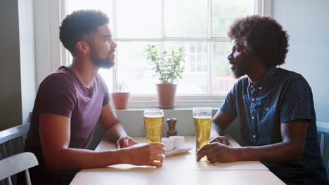 mixed race young man and his black dad drinking beer and talking at a table in a pub, close up, side view
