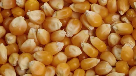 a detailed 22-second video showing popcorn kernels spinning in close-up under bright lighting