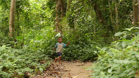 child walking in a tropical forest