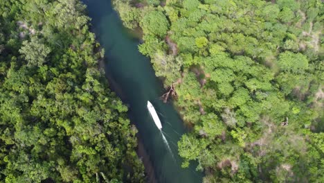 boat moving through jungle next to ocean in madagascar, some deforestation visible