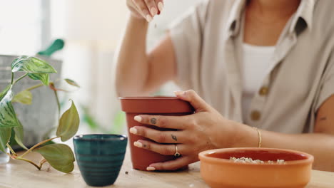 woman repotting a houseplant