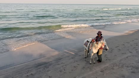 person riding a horse on a sandy beach