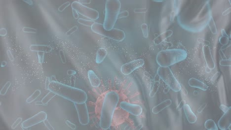 animación de microbios y células de virus sobre un fondo gris