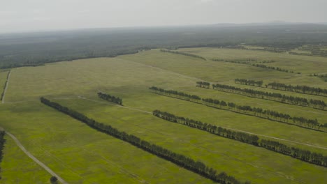 acres de páramos de arándanos plantados en hileras, antenas en órbita