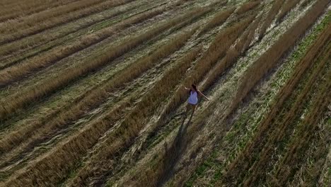 woman walking through a harvested wheat field