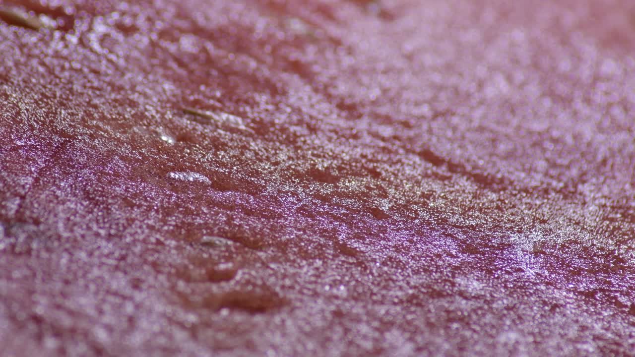 검은 바탕에 회전하는 수박의 은 프